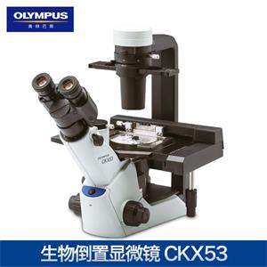 奥林巴斯CKX53倒置生物显微镜